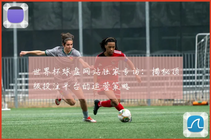 世界杯球盘网站独家专访：揭秘顶级投注平台的运营策略