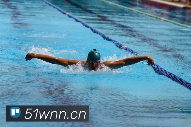 App Interface Preview